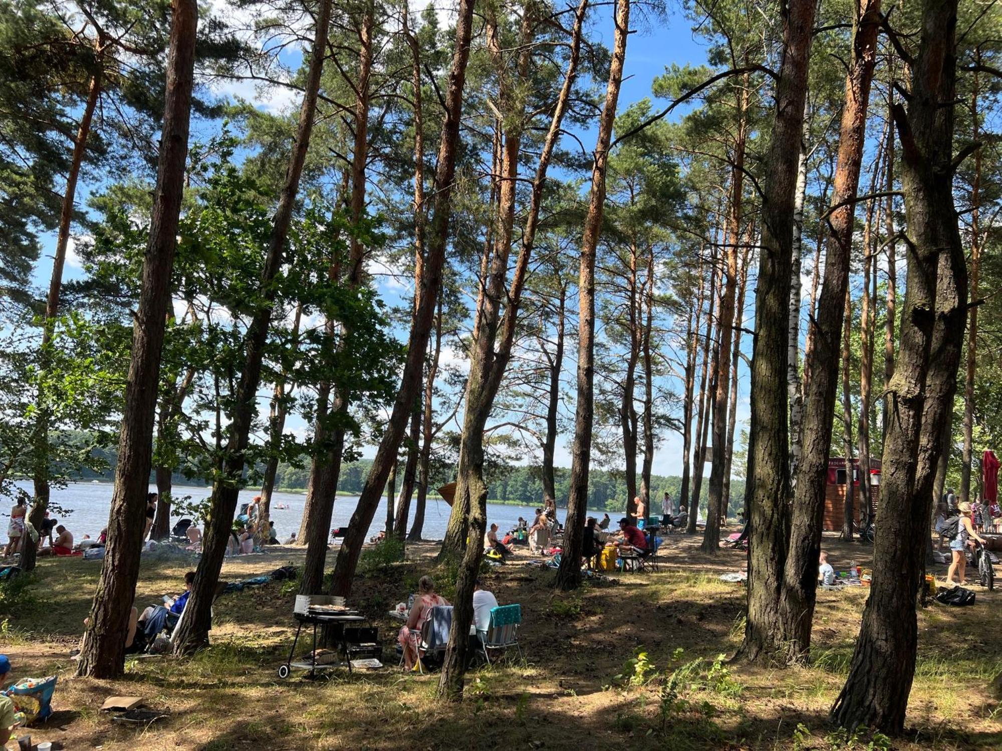 Apartment Family Sauna Teznia Apartments: Vip Retreat With And Views